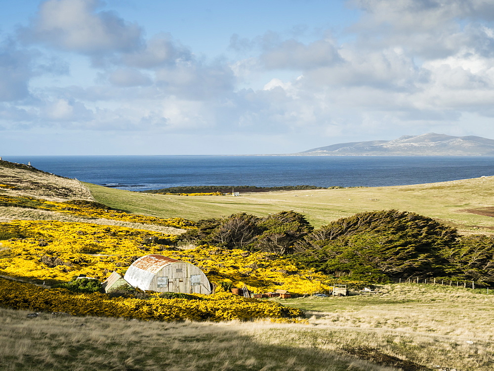 A view of the working sheep farm on West Point Island, Falkland Islands, South Atlantic Ocean