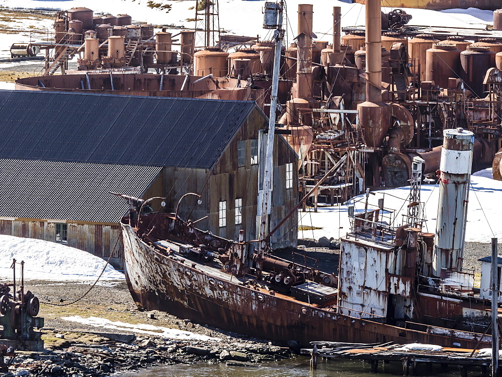 Old whaling catcher ship at Grytviken, now cleaned and refurbished for tourism on South Georgia Island, Atlantic Ocean