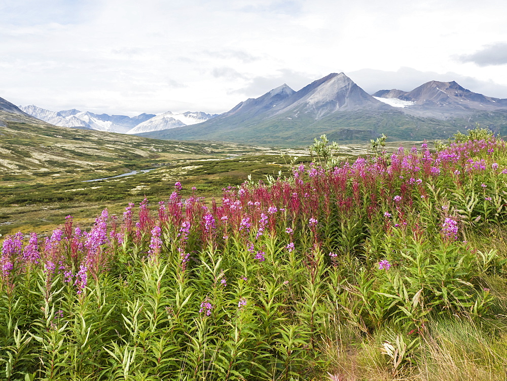 View from the Chuck Creek Trail in Tatshenshini-Alsek Park, UNESCO World Heritage Site, British Columbia, Canada, North America