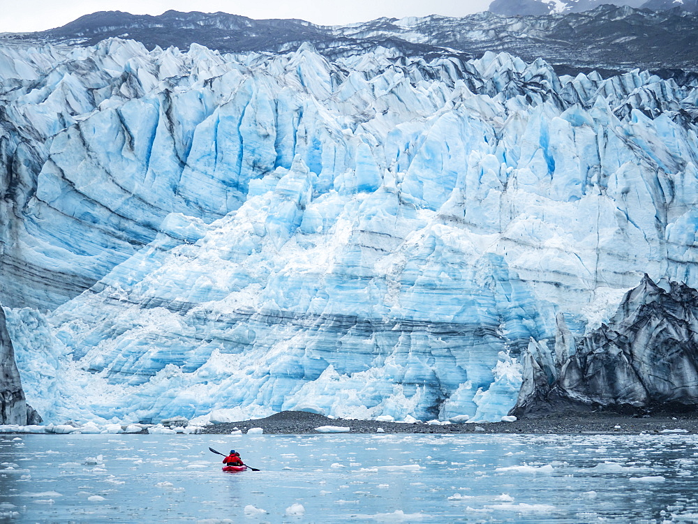 A kayaker paddling in front of Lamplugh Glacier, Glacier Bay National Park and Preserve, UNESCO World Heritage Site, Alaska, United States of America, North America