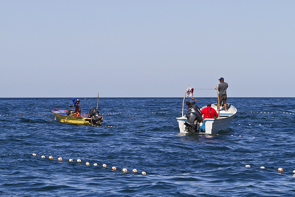 Panga fisherman setting nets, Isla San Marcos, Gulf of California (Sea of Cortez), Baja California Sur, Mexico, North America