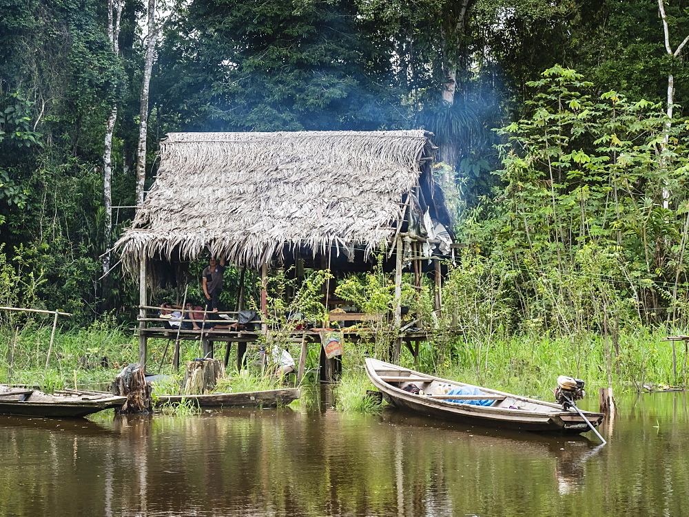 A small house built on stilts in Belluda Creek, Ucayali River, Loreto, Peru, South America