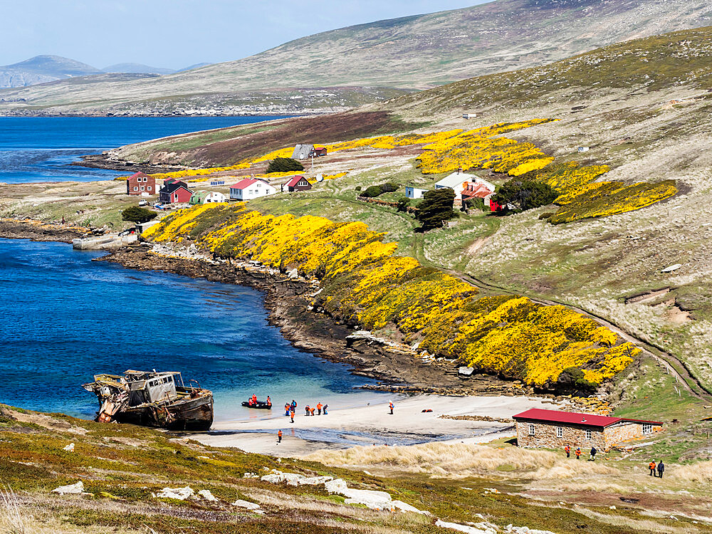 View of the Barnard Memorial Museum, front, and the Settlement in Coffin's Harbour, New Island, Falklands Islands, South America