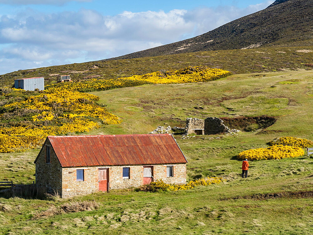 View of the sheep settlement abandoned in 1992 on Keppel Island, Falkland Islands, South America