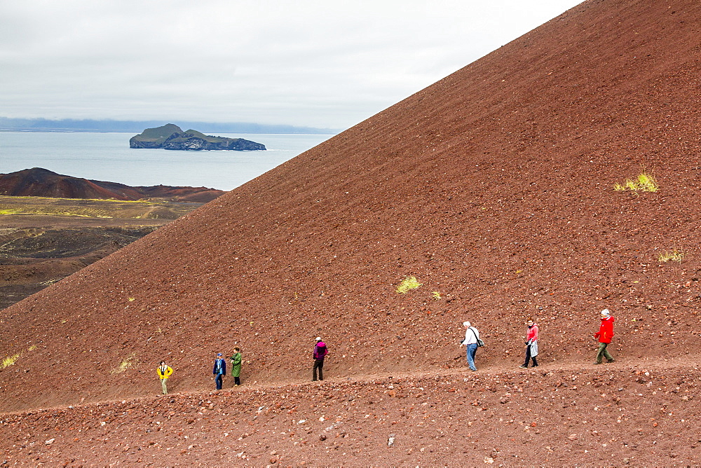 Hiking on recent lava flow on Heimaey Island, Iceland, Polar Regions