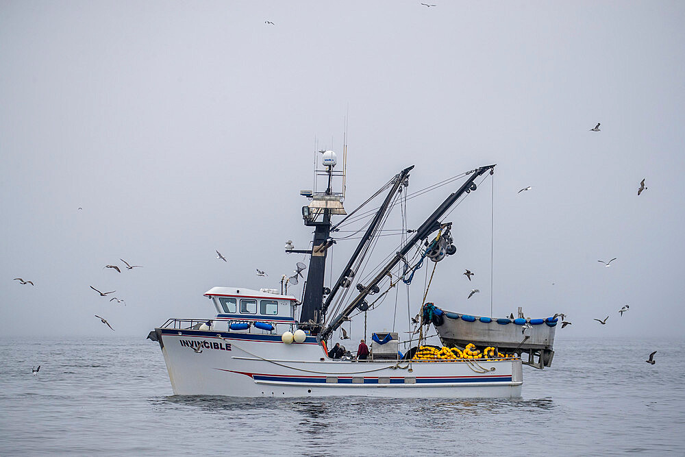 The commercial fishing purse-seiner Invincible in Monterey Bay National Marine Sanctuary, California, United States of America, North America