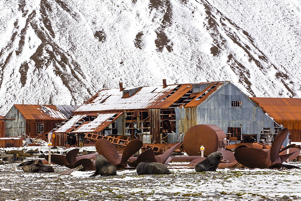 The abandoned Norwegian Whaling Station at Stromness Bay, South Georgia, South Atlantic Ocean, Polar Regions