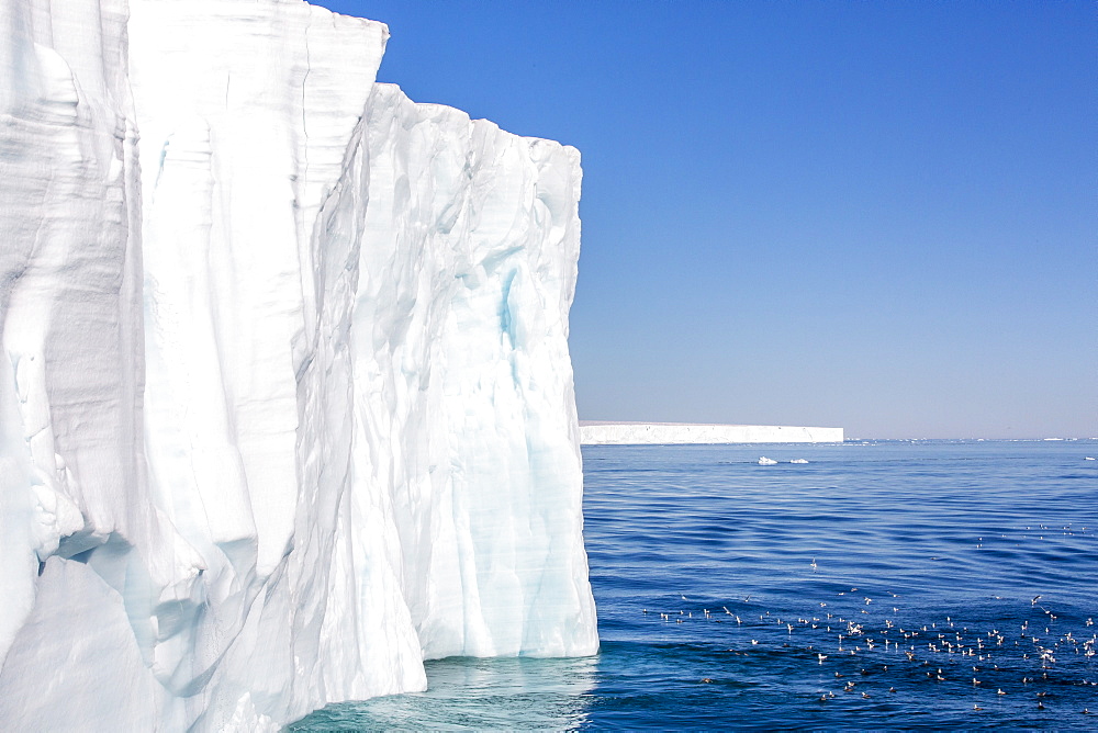 Austfonna ice cap, Nordaustlandet, Svalbard, Norway, Scandinavia, Europe 