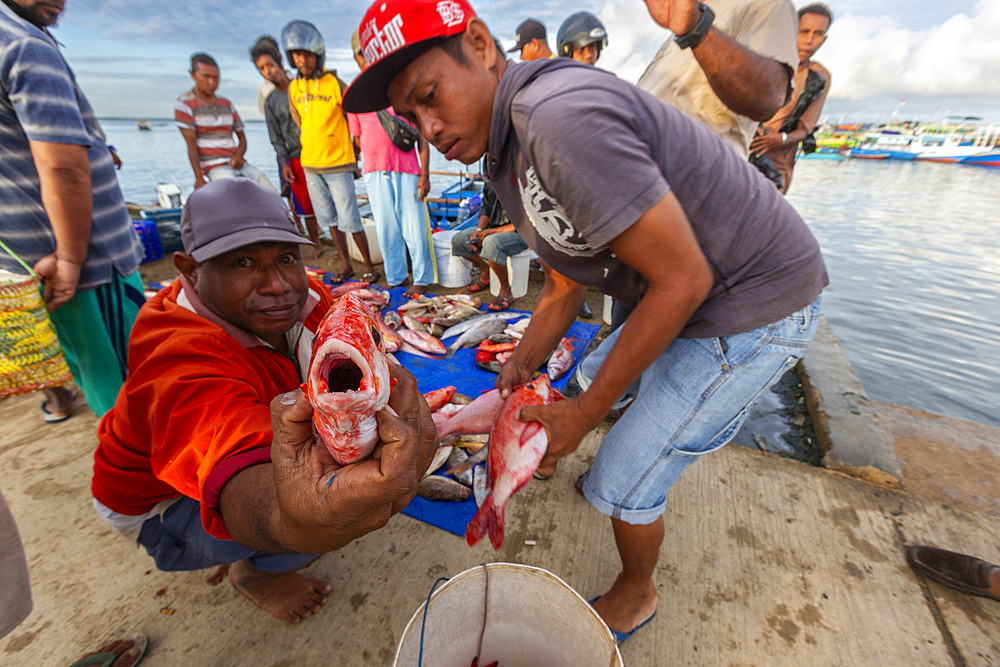 Vendors selling fresh fish at the fish market in Sorong, the largest city of the Indonesian province of Southwest Papua, Indonesia, Southeast Asia, Asia