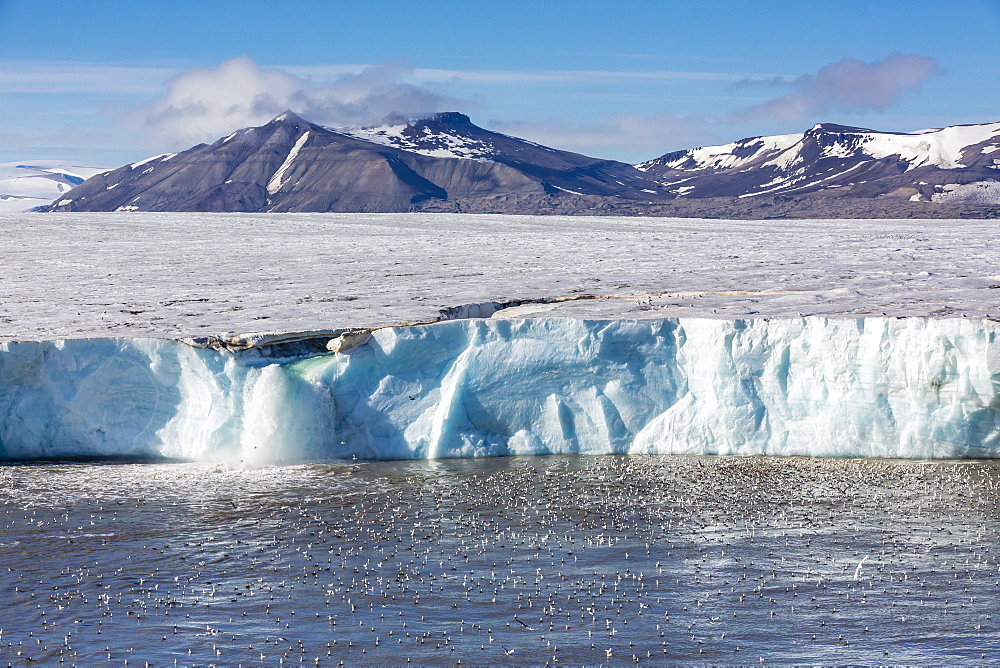 Negribreen (Negri Glacier), Olav V Land, Spitsbergen, Svalbard Archipelago, Norway, Scandinavia, Europe 