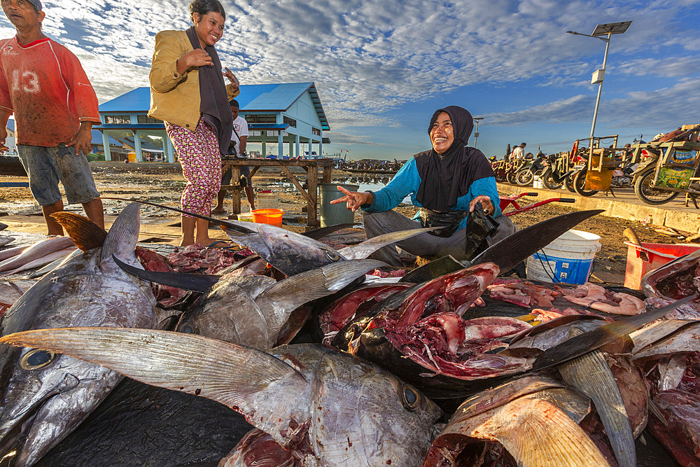 Vendors selling fresh fish at the fish market in Sorong, the largest city of the Indonesian province of Southwest Papua, Indonesia, Southeast Asia, Asia