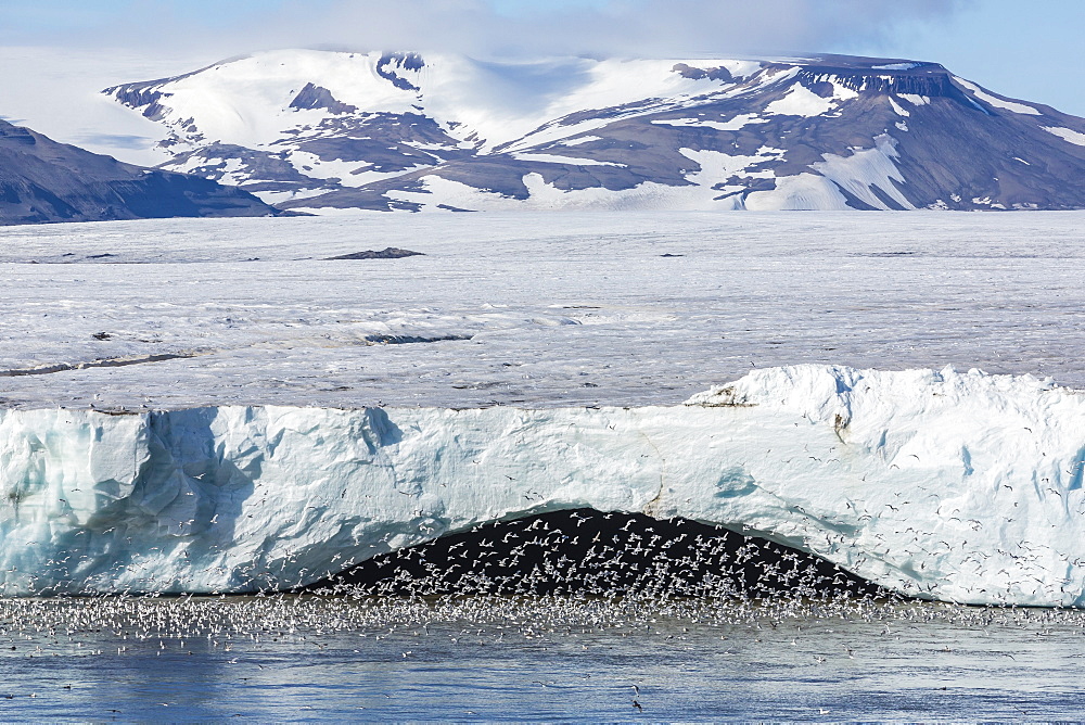 Negribreen (Negri Glacier), Olav V Land, Spitsbergen, Svalbard Archipelago, Norway, Scandinavia, Europe 