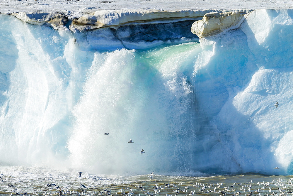 Negribreen (Negri Glacier), Olav V Land, Spitsbergen, Svalbard Archipelago, Norway, Scandinavia, Europe 