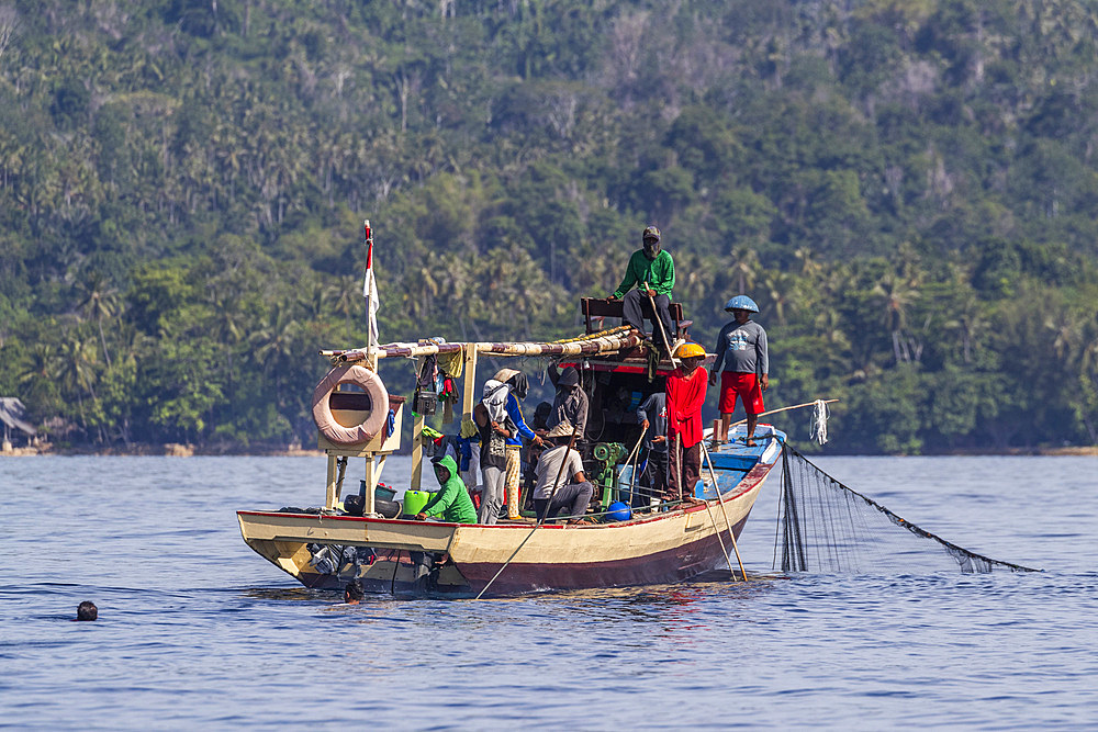 Tuna fisherman retrieving a purse-seine net, Bangka Island, off the northeastern tip of Sulawesi, Indonesia, Southeast Asia, Asia