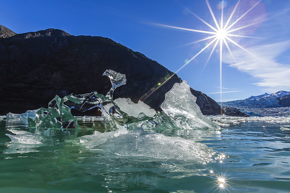 Glacial ice calved from the Sawyer Glacier, Williams Cove, Tracy Arm-Ford's Terror Wilderness Area, Southeast Alaska, United States of America, North America 