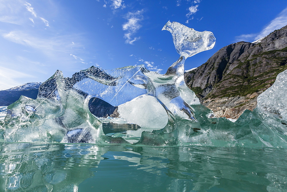 Glacial ice calved from the Sawyer Glacier, Williams Cove, Tracy Arm-Ford's Terror Wilderness Area, Southeast Alaska, United States of America, North America 