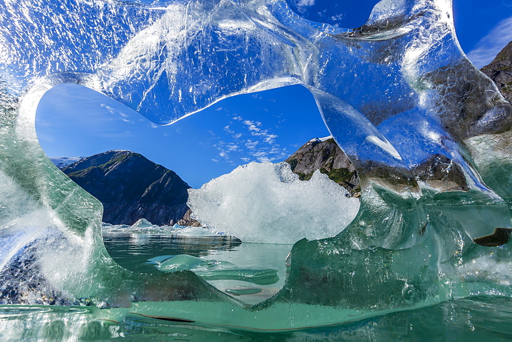 Glacial ice calved from the Sawyer Glacier, Williams Cove, Tracy Arm-Ford's Terror Wilderness Area, Southeast Alaska, United States of America, North America 