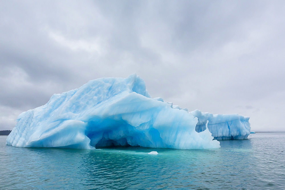 Glacial ice calved from the LeConte Glacier, Outside Petersburg, Southeast Alaska, United States of America, North America 