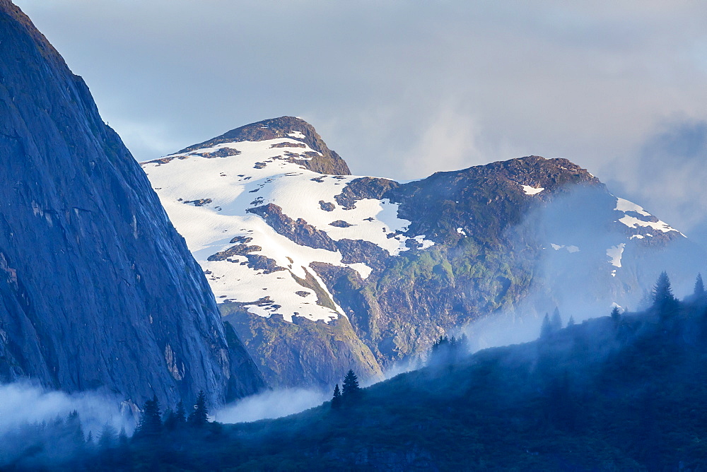 Fog in trees in Tracy Arm-Ford's Terror Wilderness area, Southeast Alaska, United States of America, North America 