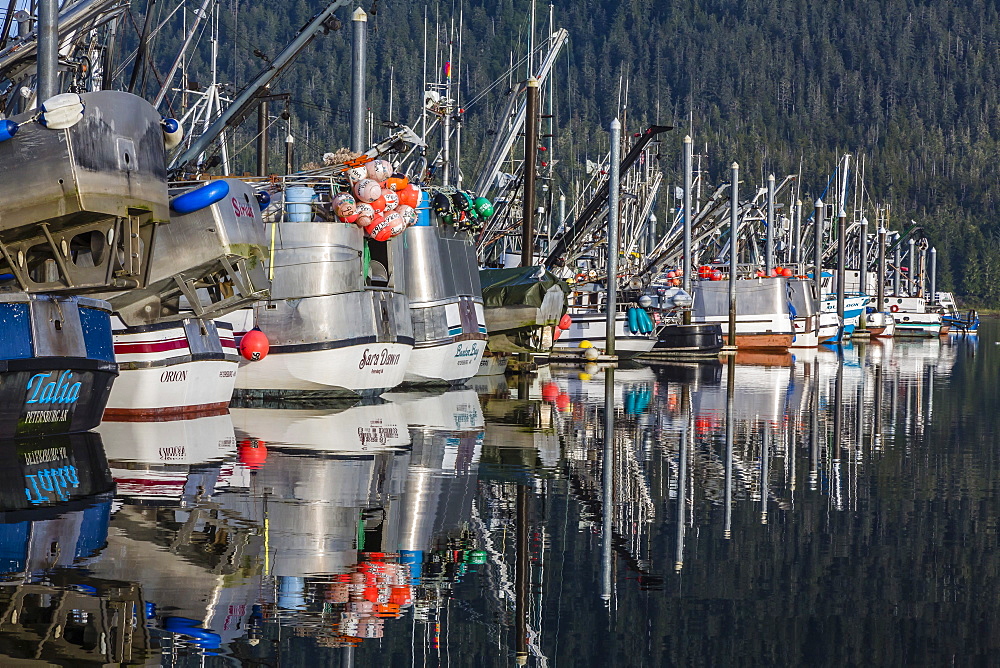 The Norwegian fishing town of Petersburg, Southeast Alaska, United States of America, North America