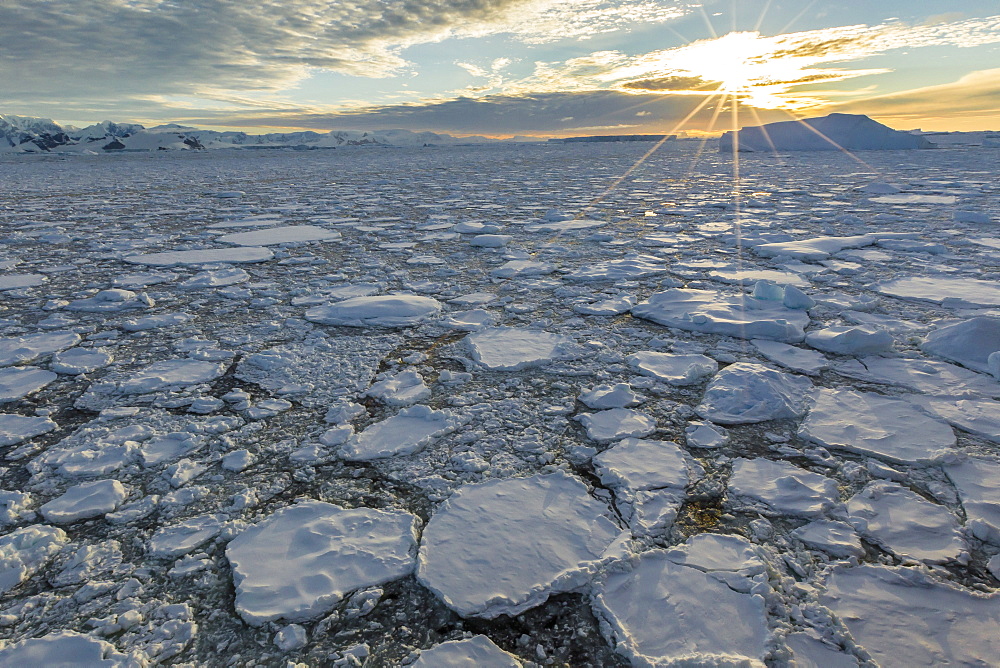 Sea ice mixed with brash ice near Pleneau Island, western side of the Antarctic Peninsula, Southern Ocean, Polar Regions