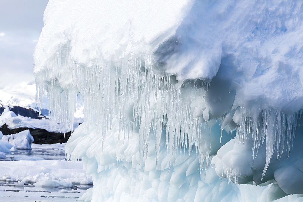 Icicles hanging from iceberg in the Yalour Islands, western side of the Antarctic Peninsula, Southern Ocean, Polar Regions