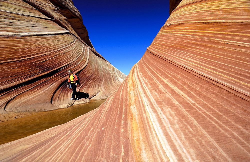 The Vermillion Cliff, sandstone formations in the sunlight, Coyote Buttes, Arizona, North America, Amerca