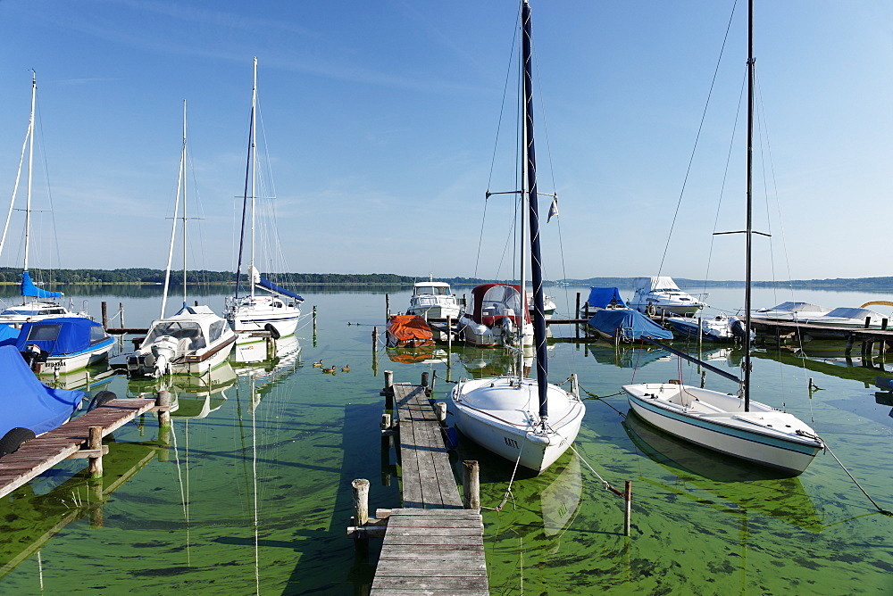 Port at lake Schwielowsee in Ferch, Havel, Brandenburg, Germany