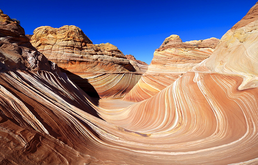 The Vermillion Cliff, sandstone formations in the sunlight, Coyote Buttes, Arizona, North America, Amerca