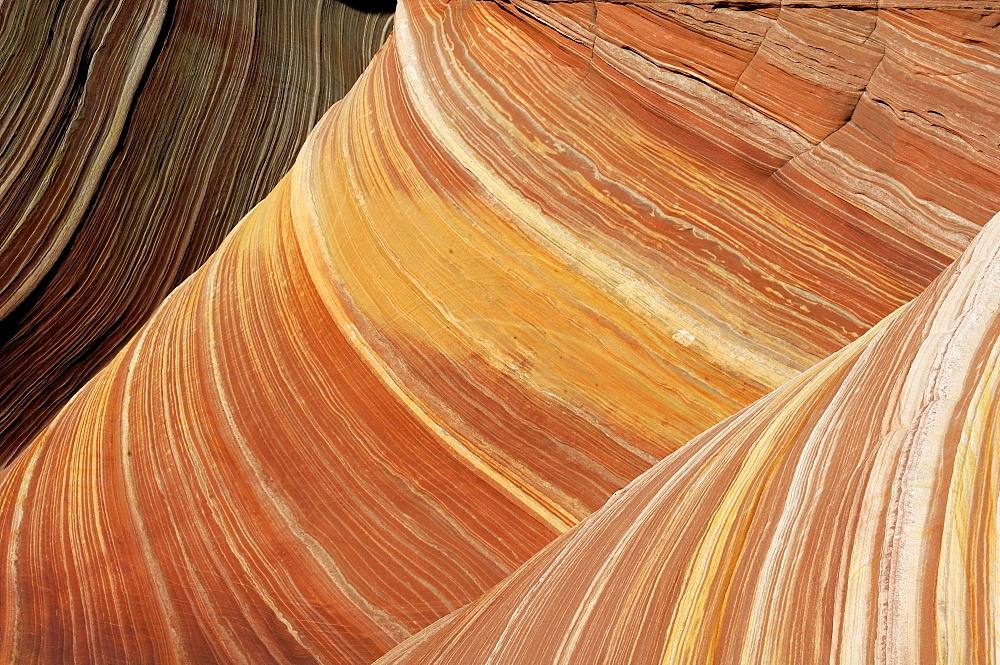 The Vermillion Cliff, sandstone formations in the sunlight, Coyote Buttes, Arizona, North America, Amerca