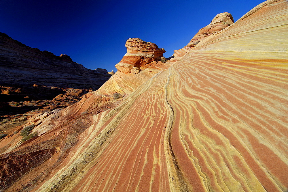 The Vermillion Cliff, sandstone formations in the sunlight, Coyote Buttes, Arizona, North America, Amerca