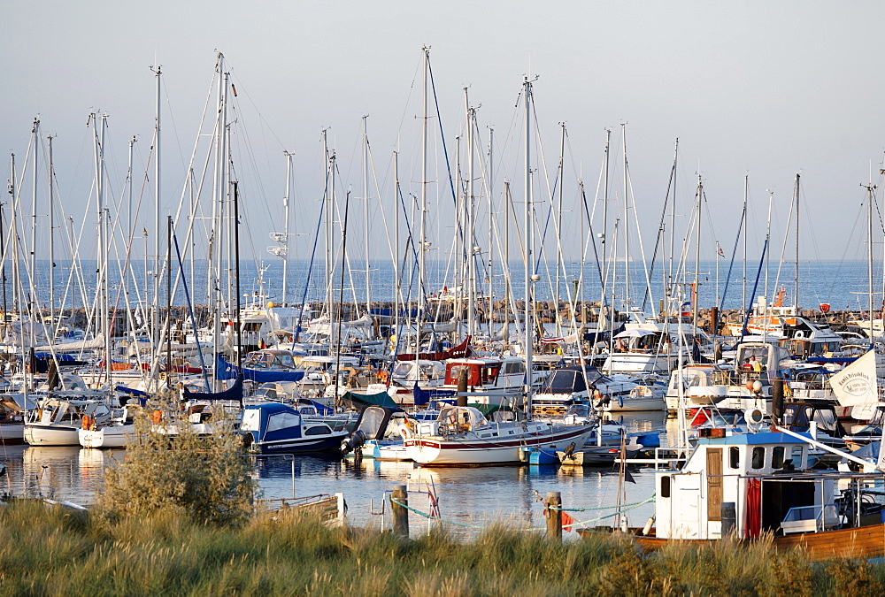 Yacht port in the evening, seaside resort of Kuehlungsborn at the Baltic Sea, Mecklenburg-Western Pomerania, Germany