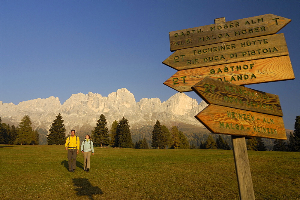 Hikers at a signpost in the light of the evening sun, Rosengarten, Dolomites, South Tyrol, Italy, Europe