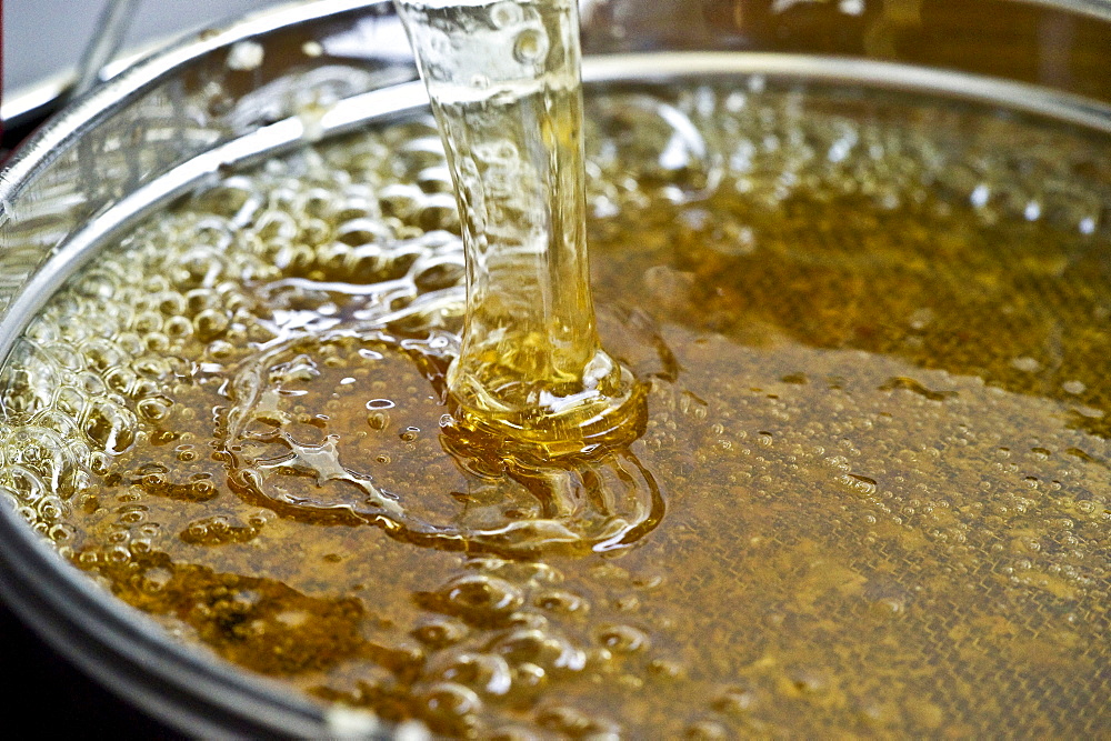 Pouring honey, Freiburg im Breisgau, Black Forest, Baden-Wuerttemberg, Germany