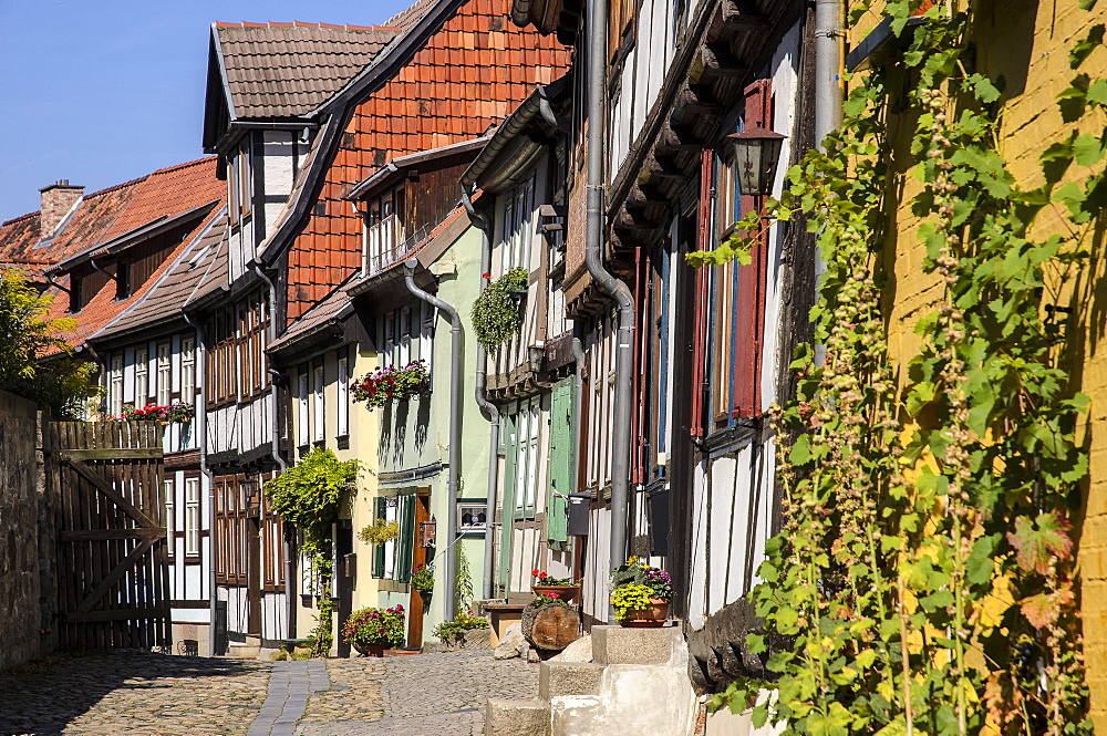 Half-timbered houses in an alley on Schlossberg Quedlinburg, beneath the Castle and Collegiate Church of St Servatius, Quedlinburg, Harz, Saxony-Anhalt, Germany, Europe