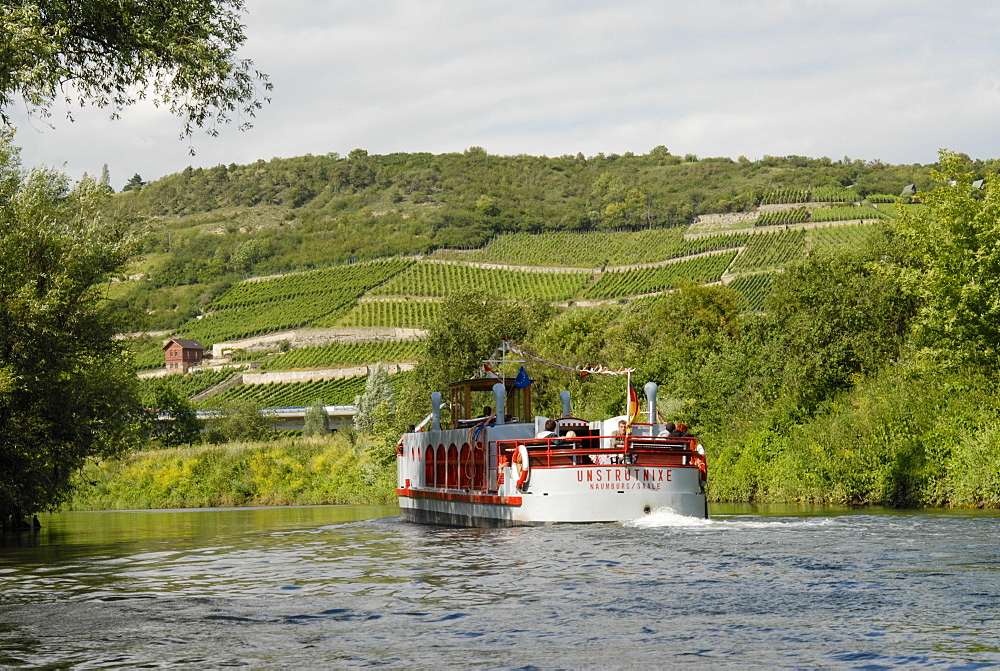 Steamer on the Unstrut river, vineyards in background, Naumburg, Saxony-Anhalt, Germany