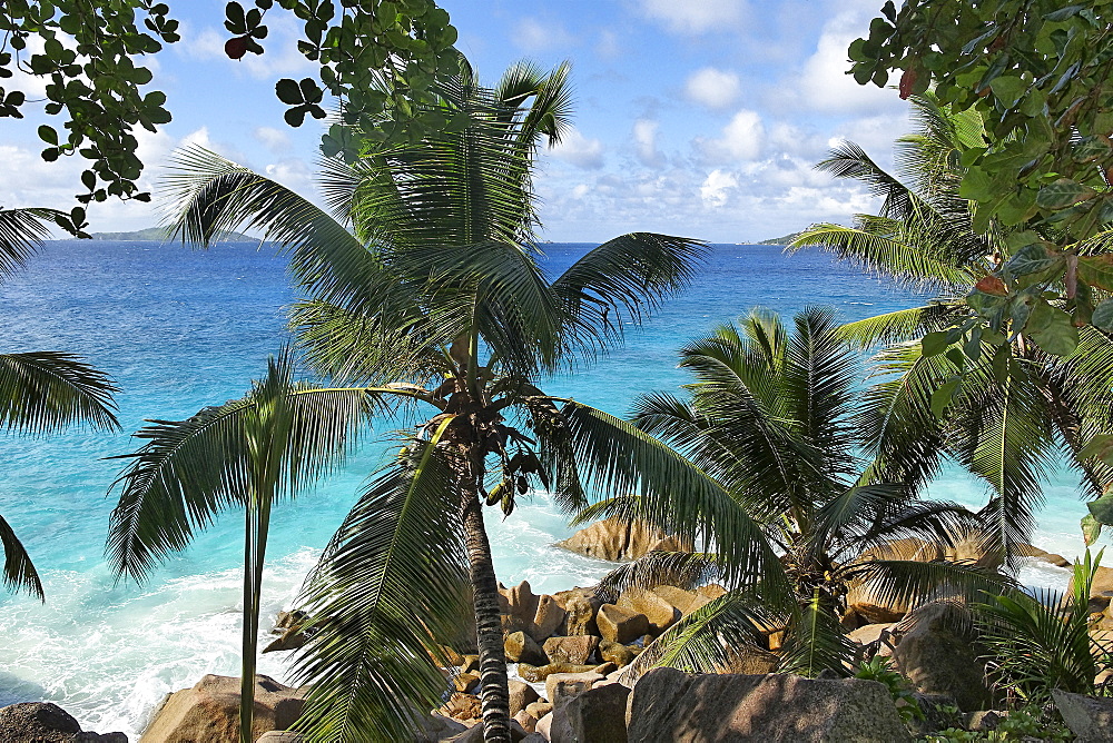 Anse Patates beach, La Digue, Seychelles, Indian Ocean, Africa