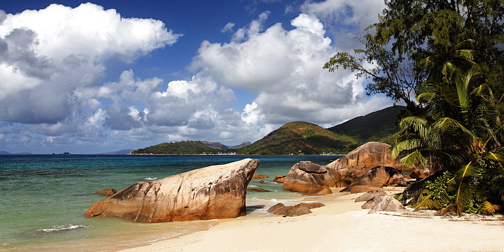 Tropical beach with palm tree, Anse Boudin, Praslin, Seychelles, Indian ocean