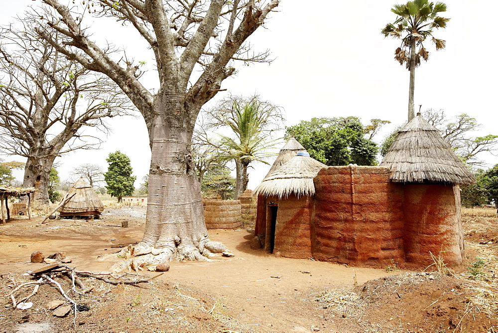 Traditional loam house in the area of the Somba tribe, Koussoucoingou, Atakora Department, Benin