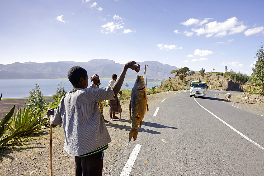 Boy selling fish at Ashange Hayk, near Maychew, Tigray region, Ethiopia