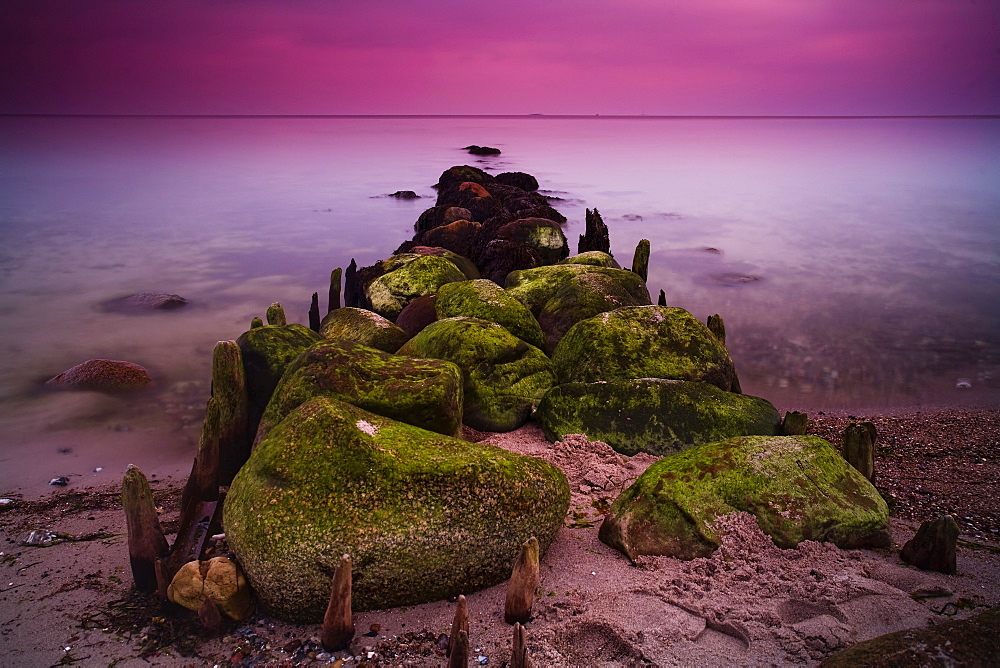 Groynes and moss covered stones in the morning light, Buelk, Strande, Kiel Fjord, Schleswig-Holstein, Germany