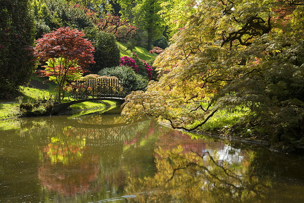 English style gardens of Villa Melzi, Bellagio, Lake Como, Lago di Como, Province of Como, Lombardy, Italy