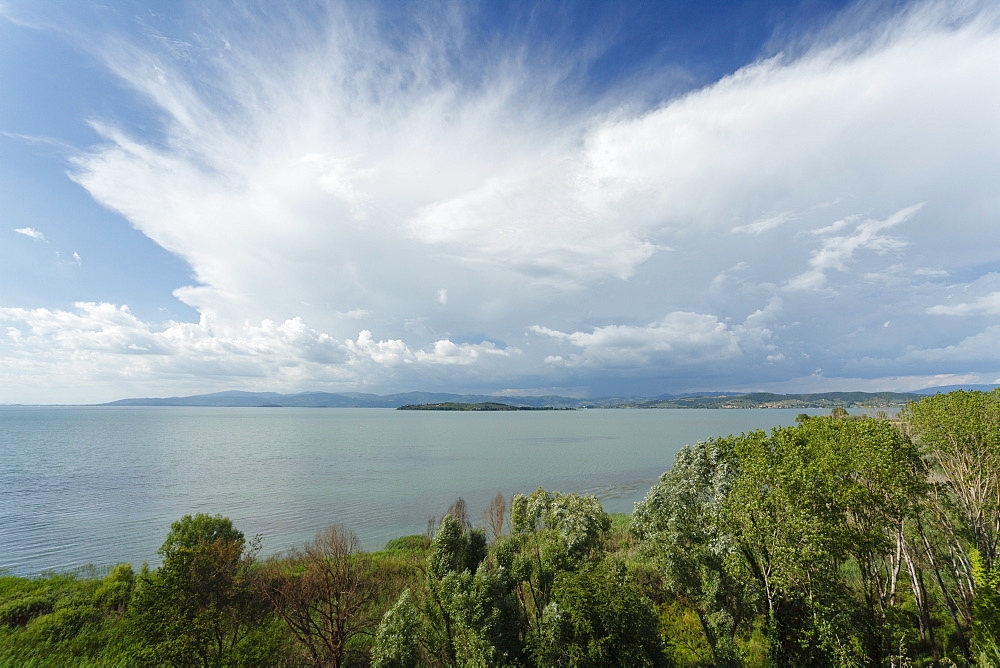 Lago Trasimeno, lake, province of Perugia, Umbria, Italy, Europe