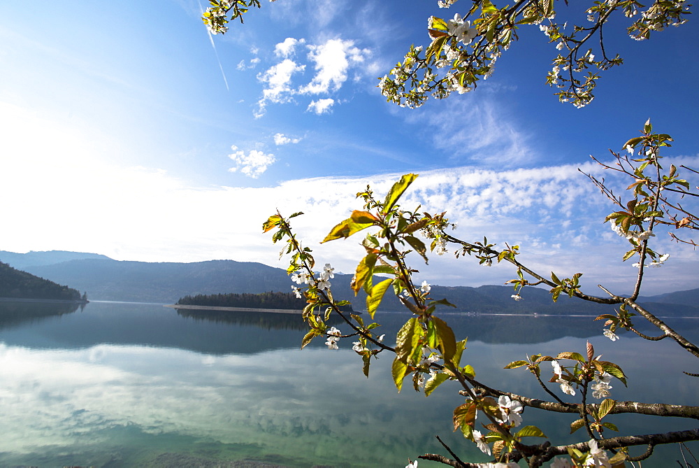 Views of lake Walchensee and Sassau island, Lake Walchensee, Alps, Upper Bavaria, Bavaria, Germany