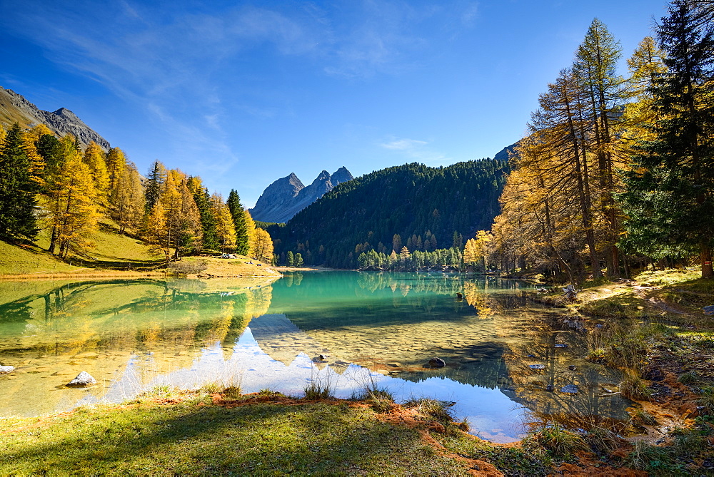 Golden larches at lake Palpuogna (1918 m) with Piz da la Blais (2930 m), Grisons, Switzerland