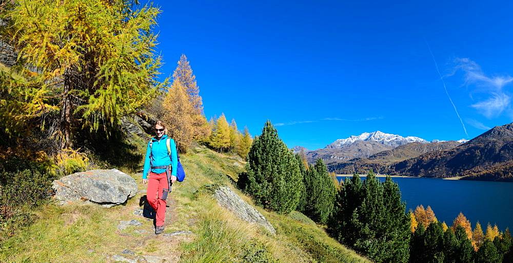 Woman hiking above Lake Sils with the village of Isola and Piz Corvatsch (3451 m) on the opposite shore, Engadin, Grisons, Swit