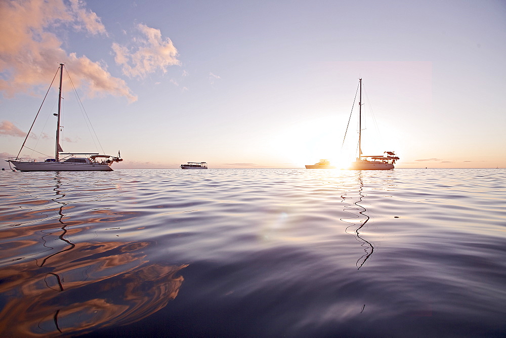 Sailboats in backlight, Dominica, Lesser Antilles, Caribbean