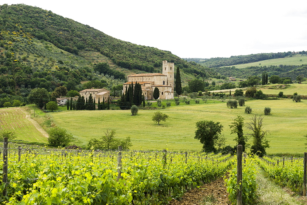 Abbey of Sant`Antimo near Montalcino, Val d`Orcia, province of Siena, Tuscany, Italy, UNESCO World Heritage