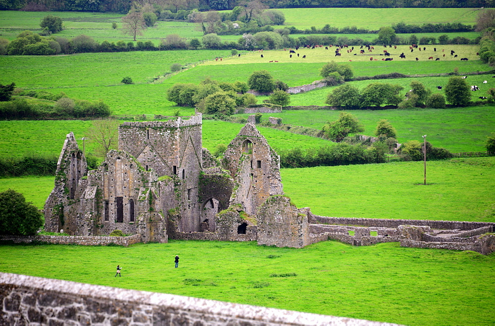 View from Rock of Cashel to the ruins of the Cathedral, Cashel, County Tipperary, Ireland