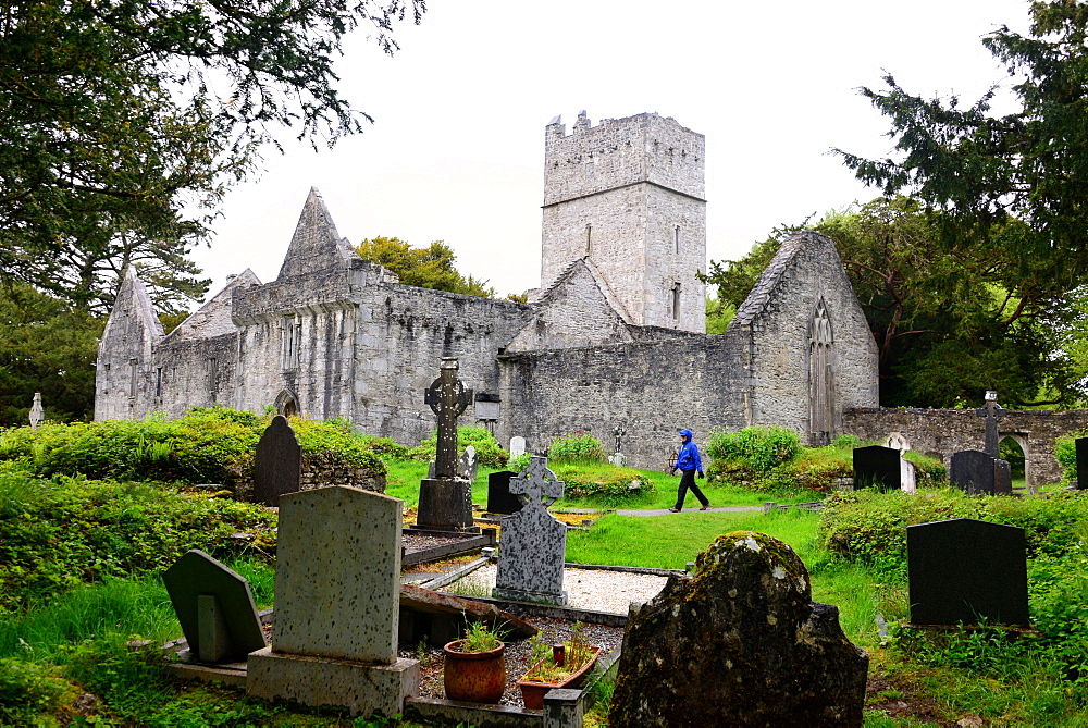 Mukross Abbey ruins at Lough Leane near Killarney, Ireland